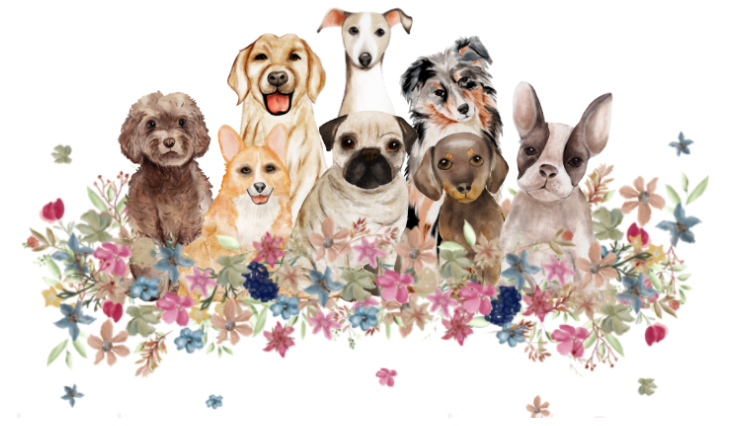 This image has an empty alt attribute; its file name is Doggos.png