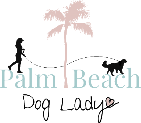 Palm Beach Dog Lady