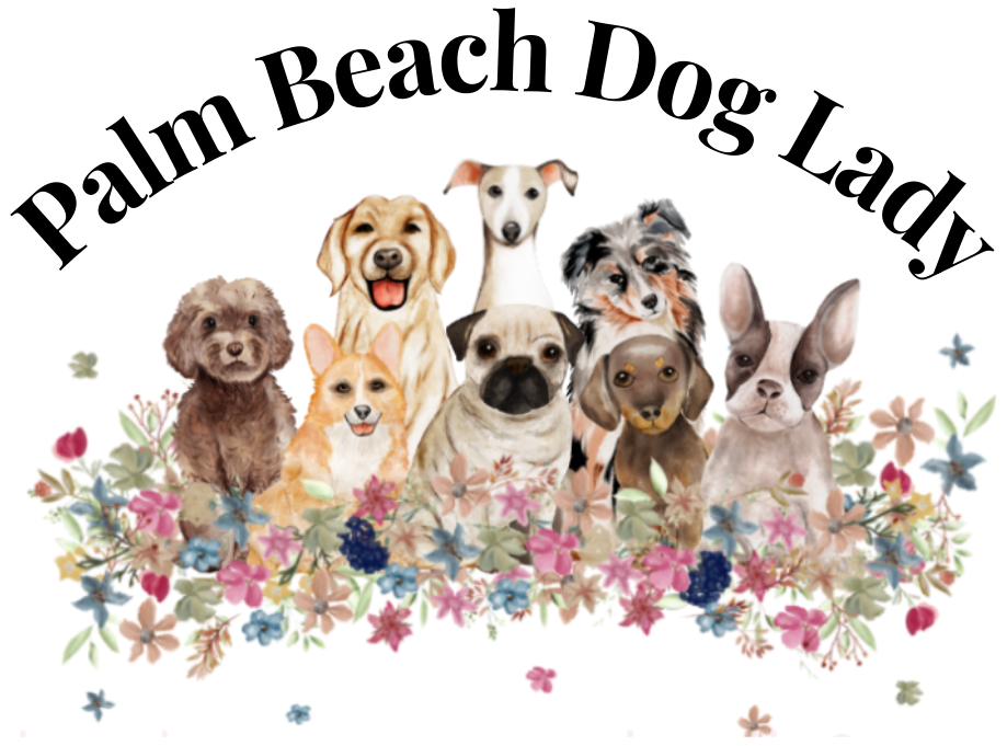 Palm Beach Dog Lady Your furbaby's best friend!