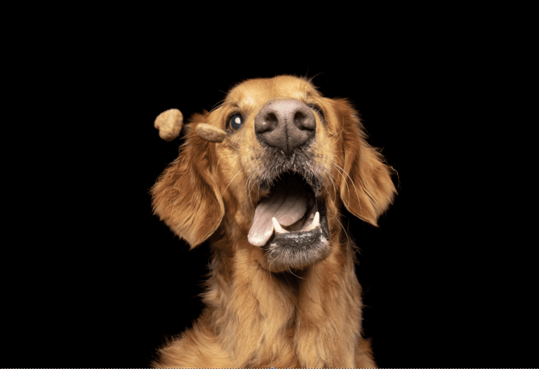 What Makes us Different